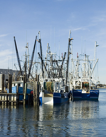 Fishing Fleet