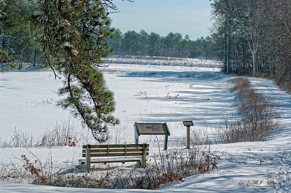 Double Trouble Park in Winter