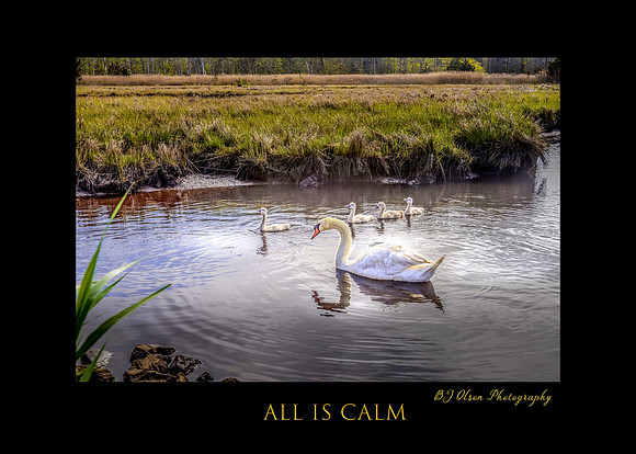 All is Calm 5x7 c