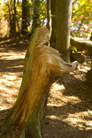 Driftwood Maiden