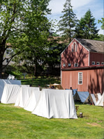 Historic Speedwell
