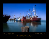 Viking Village