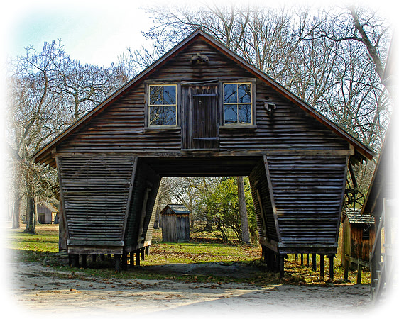 Wells Mills County Park, NJ