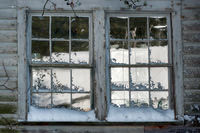 Winter View