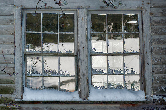 Winter View